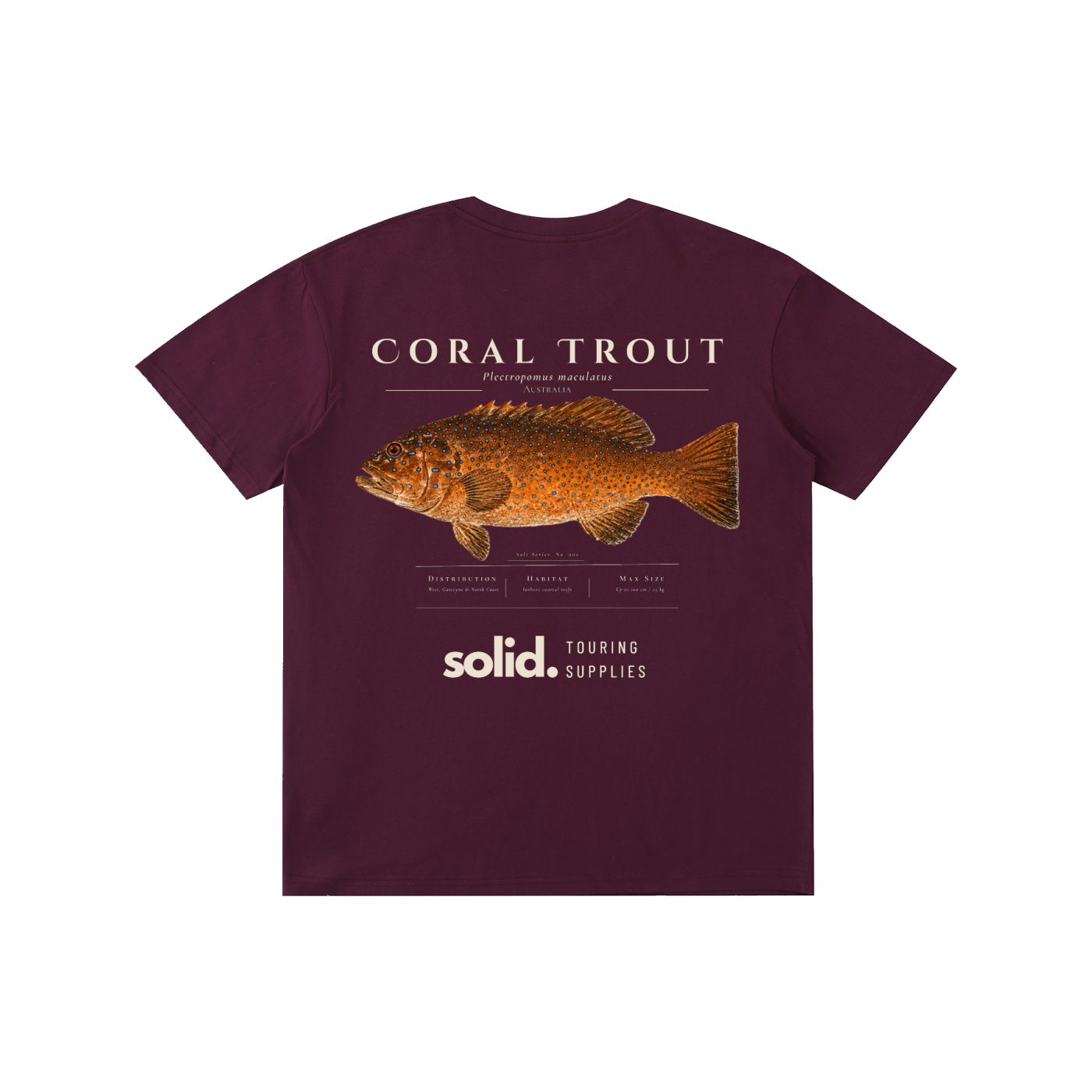 Salt Series 002 - Coral Trout - Bone Text