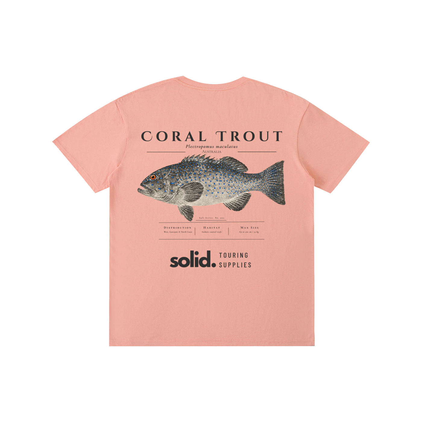 Salt Series 002 - Coral Trout - Charcoal Text