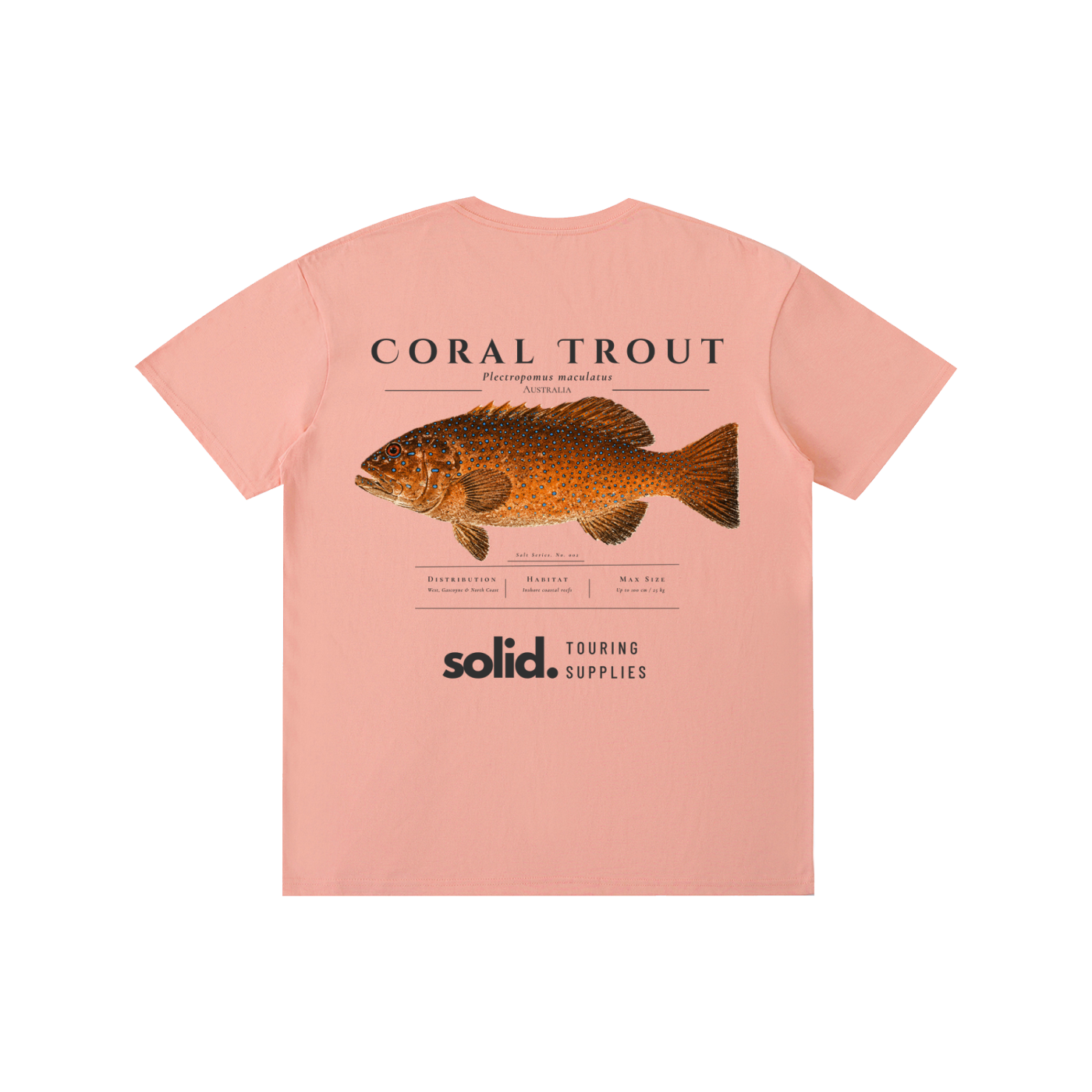 Salt Series 002 - Coral Trout - Charcoal Text
