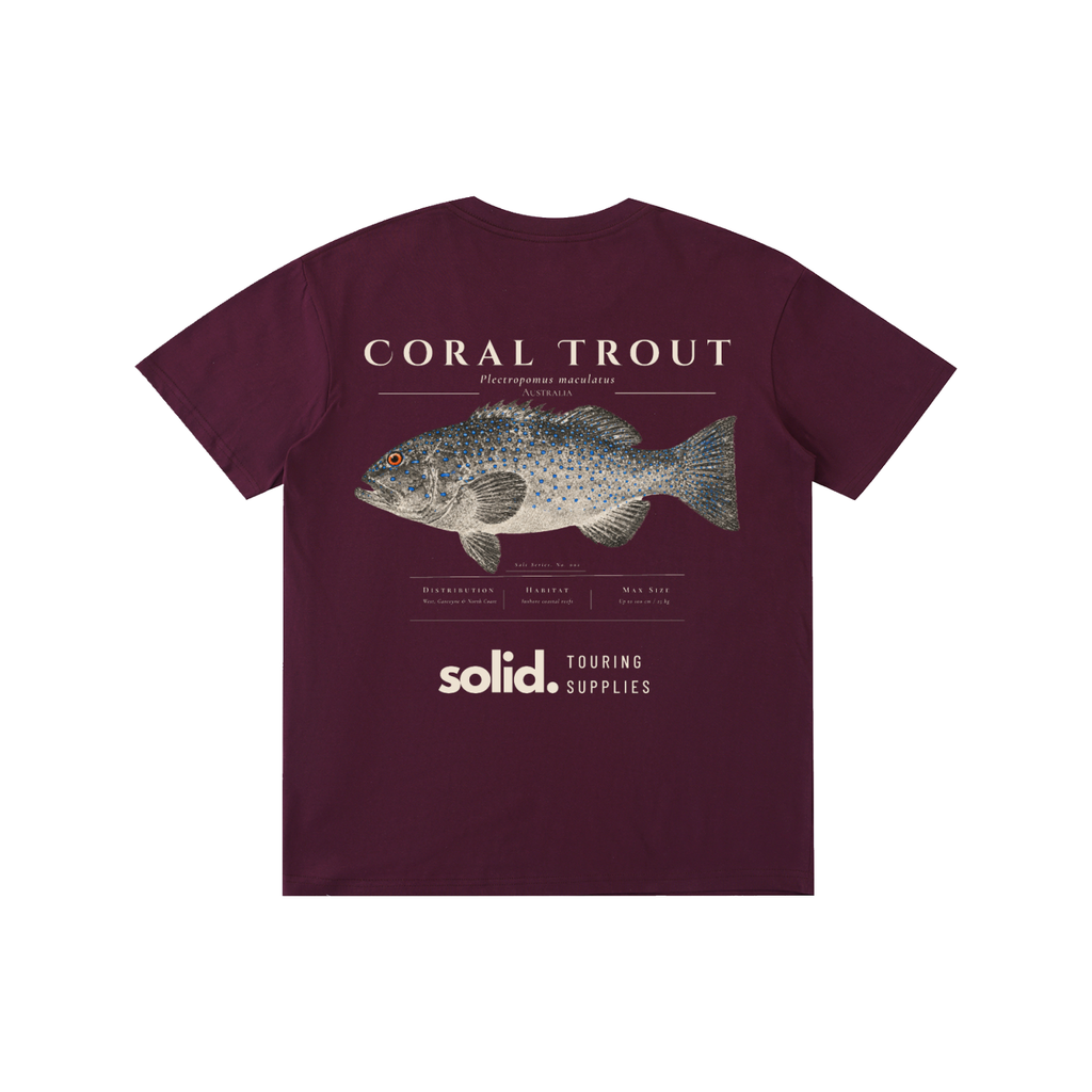 Salt Series 002 - Coral Trout - Bone Text