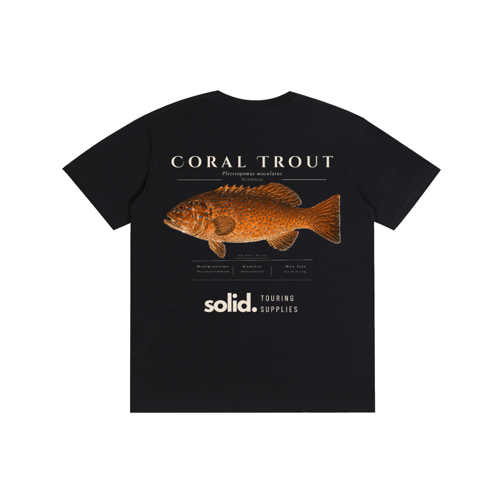 Salt Series 002 - Coral Trout - Bone Text