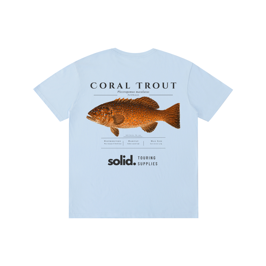 Salt Series 002 - Coral Trout - Charcoal Text