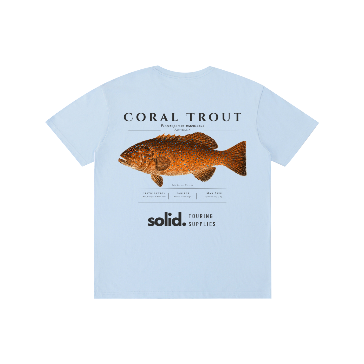 Salt Series 002 - Coral Trout - Charcoal Text