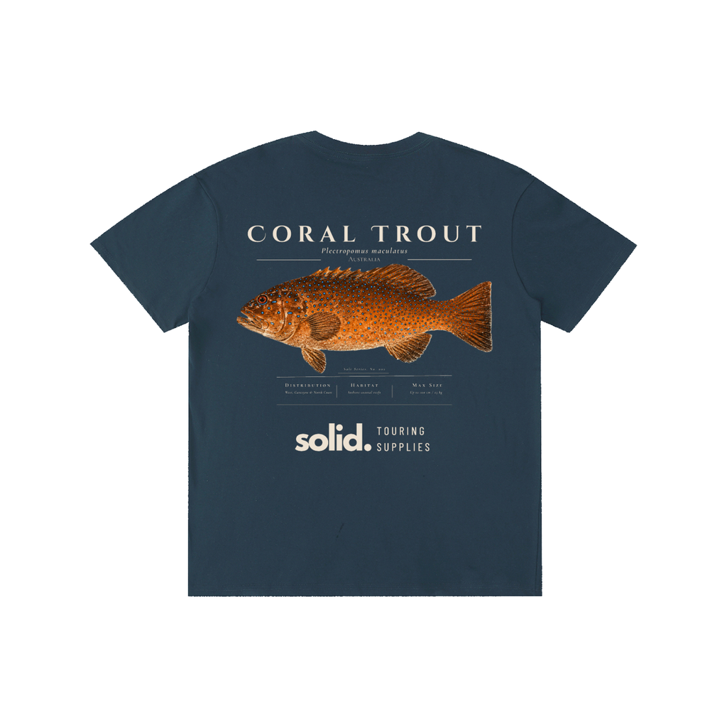 Salt Series 002 - Coral Trout - Bone Text