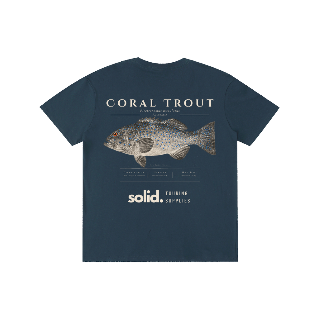 Salt Series 002 - Coral Trout - Bone Text