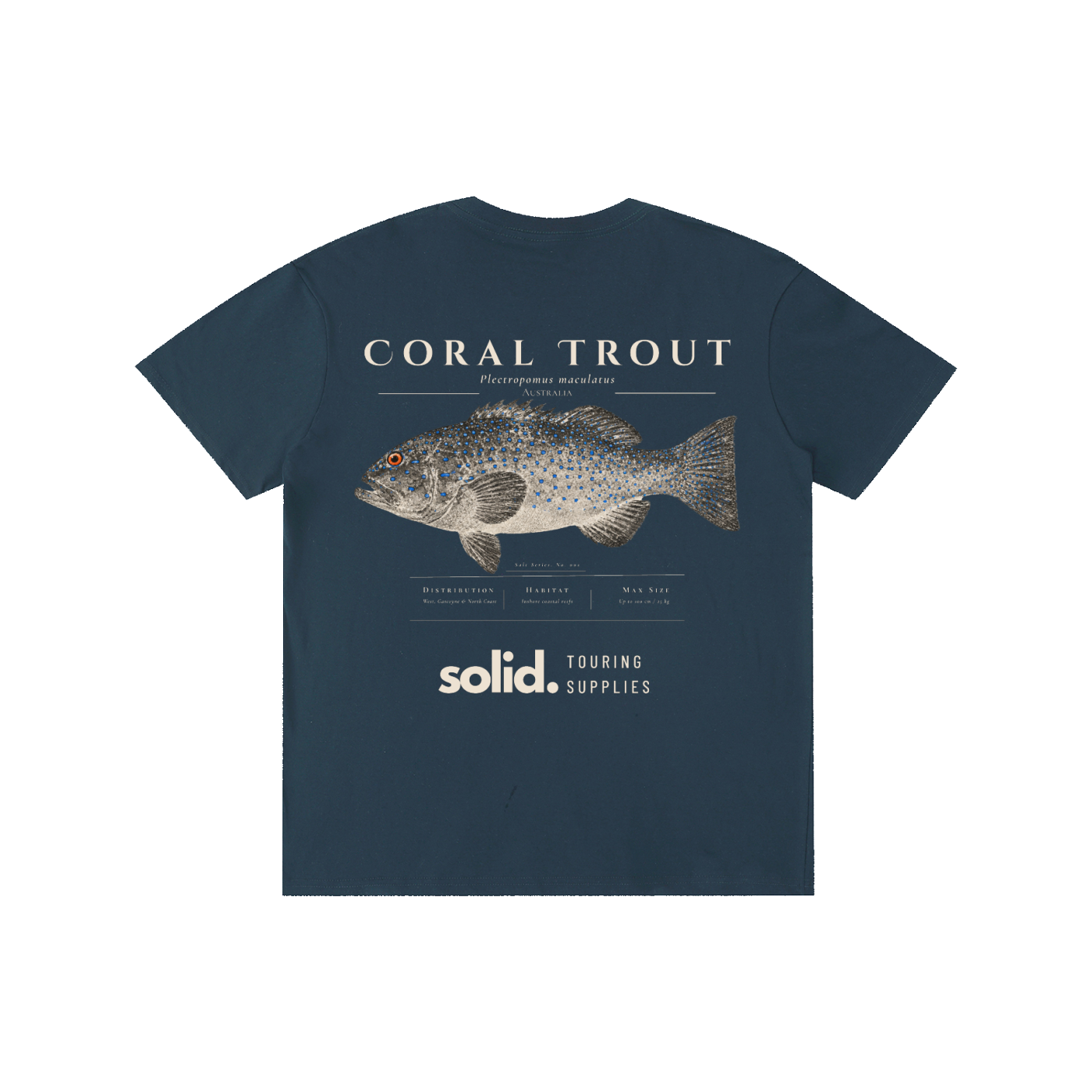 Salt Series 002 - Coral Trout - Bone Text