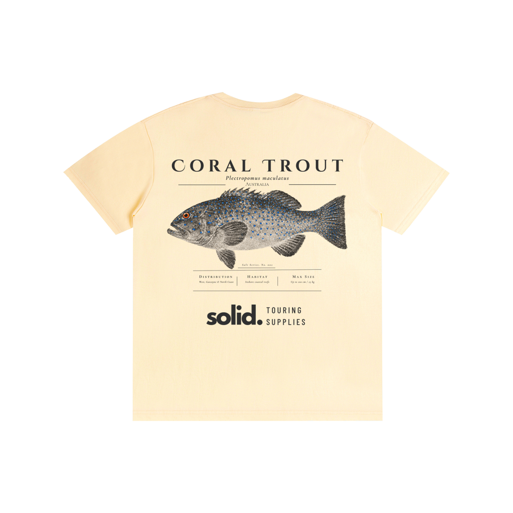Salt Series 002 - Coral Trout - Charcoal Text