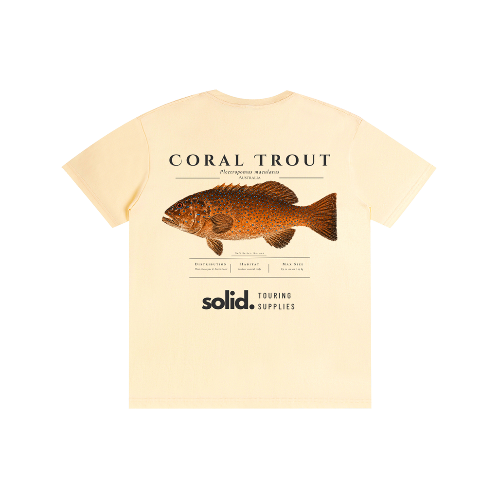 Salt Series 002 - Coral Trout - Charcoal Text