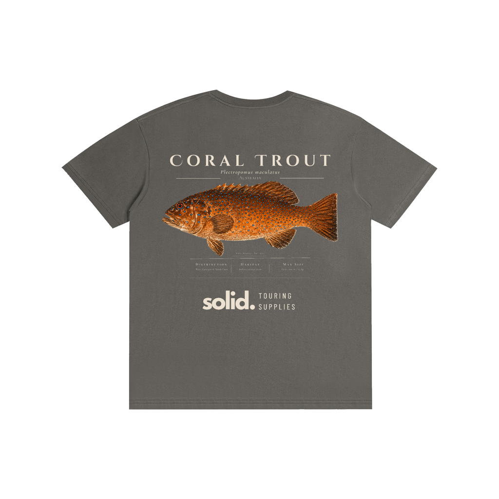 Salt Series 002 - Coral Trout - Bone Text