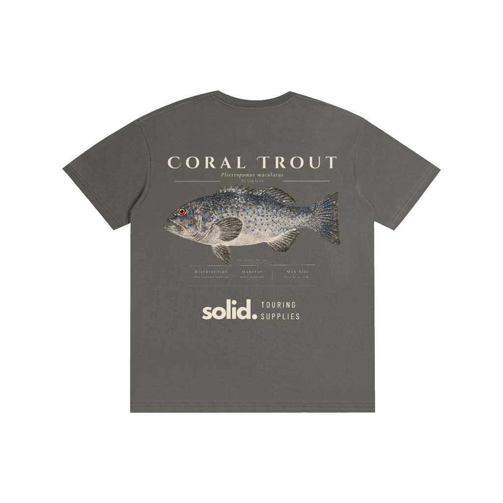 Salt Series 002 - Coral Trout - Bone Text