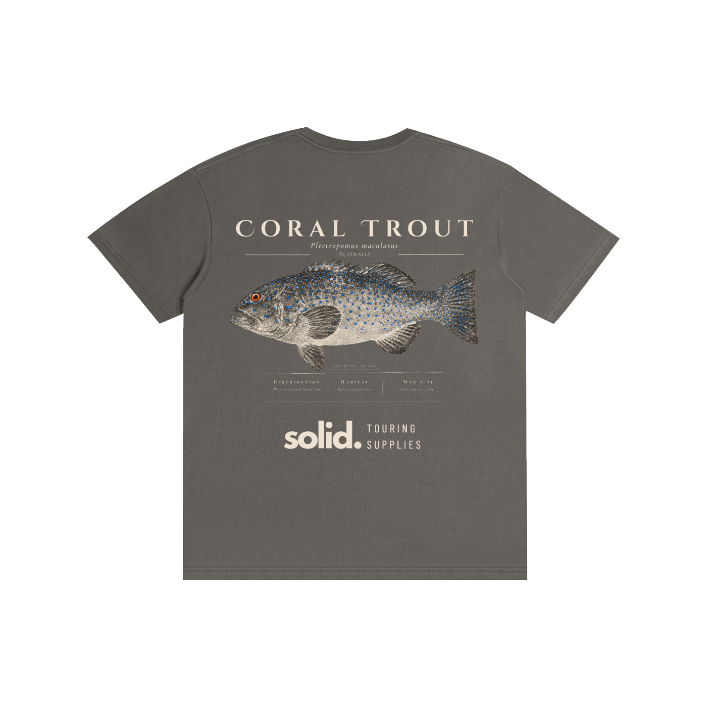 Salt Series 002 - Coral Trout - Bone Text