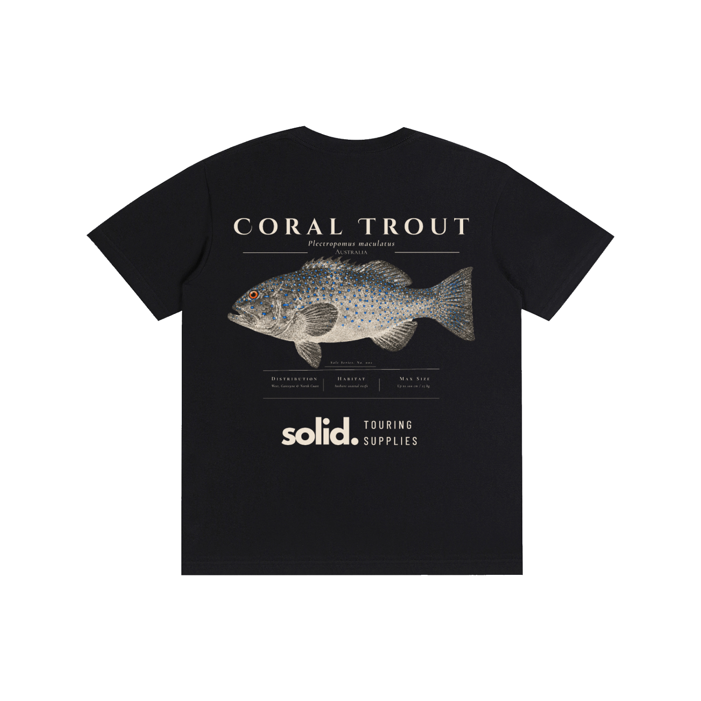 Salt Series 002 - Coral Trout - Bone Text